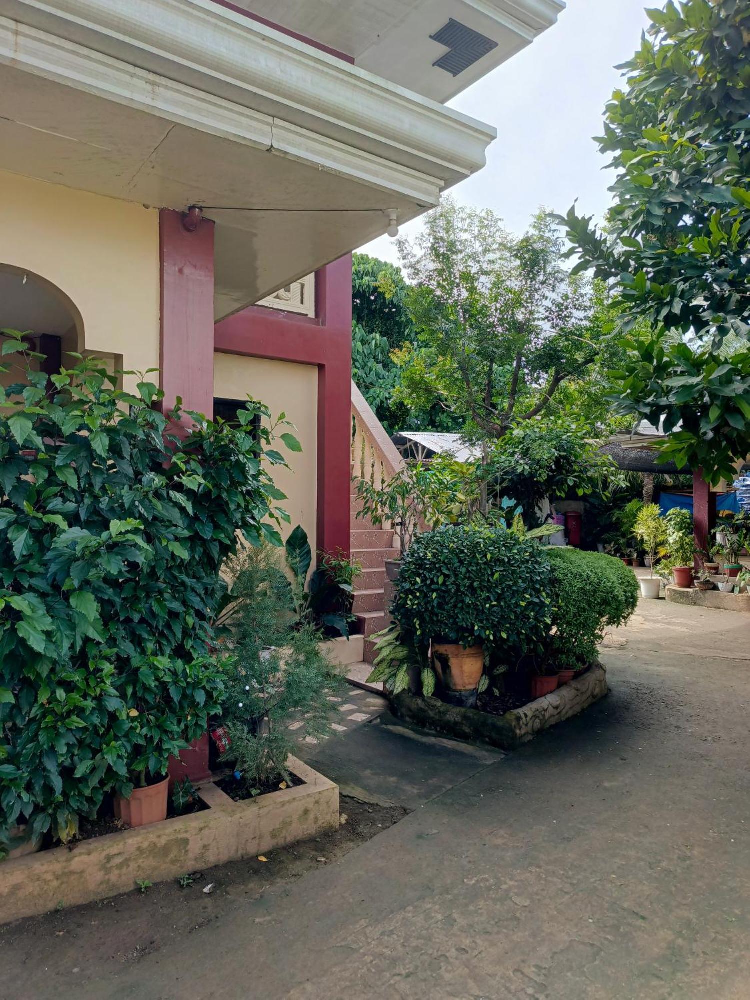 Peace Lily Studio Apartments Панглао Экстерьер фото
